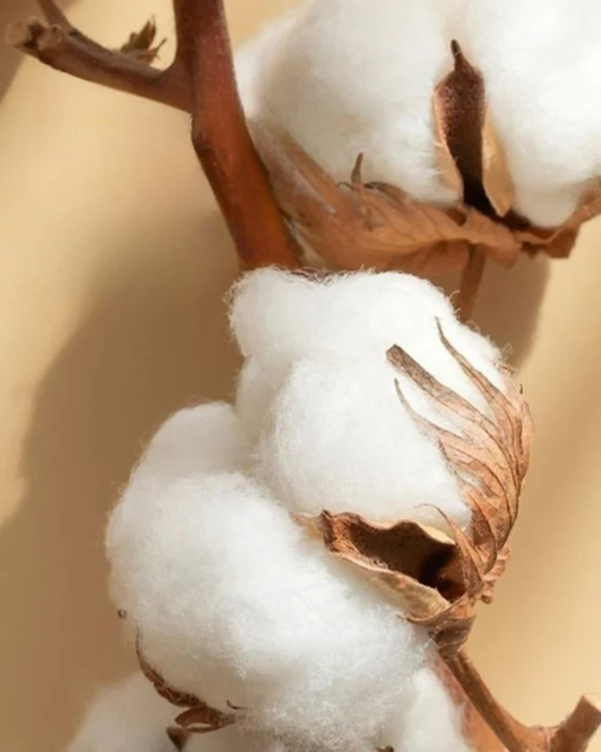 4-delige Katoen Satijn Beddengoedset met 300TC en Elegante Borduursels – Luxe en Ademend voor Ultiem Comfort 2