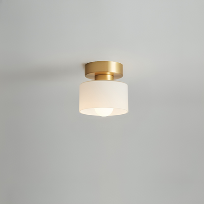 Moderne Plafondspot met Gouden Afwerking en LED Verlichting voor Elegante Sfeer – Compact Bauhaus Design 5