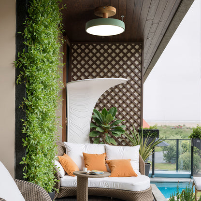 Plafondlamp met Houten Basis en Groene Armatuur – Energiezuinige LED Plafonnière voor Slaapkamer en Kleine Ruimtes 5