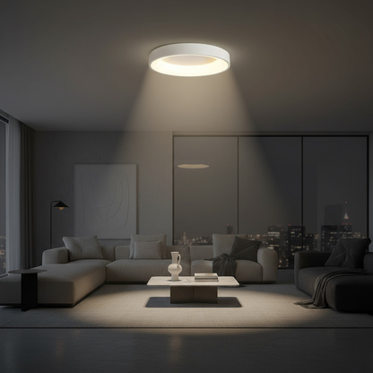 Scandinavische Ronde LED Plafondlamp – Minimalistisch Ontwerp voor Woonkamer en Keuken, 30 cm Diameter, Wit 3